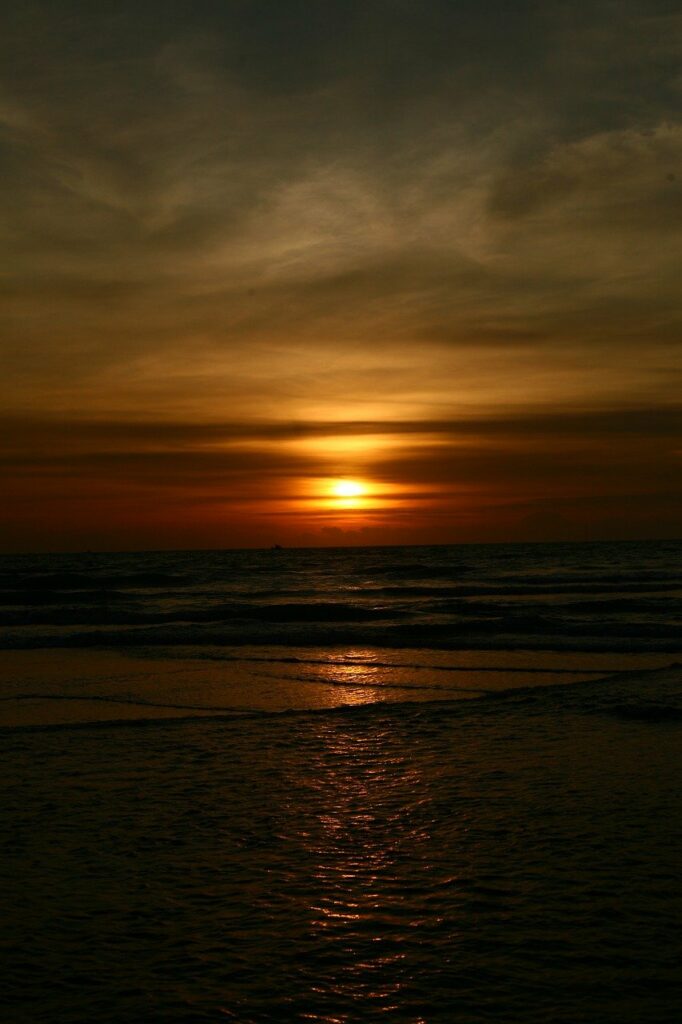 sunset, seascape, palms-4932146.jpg